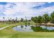 Sunbird Resort golf course pond with ducks and lush green grass at 1841 E Augusta Ave, Chandler, AZ 85249