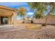 Well-maintained backyard with desert landscaping, gravel accents, and covered patio at 1851 W Pelican Dr, Chandler, AZ 85286