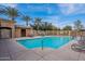 Beautiful community pool with palm trees and lounge chairs, perfect for relaxing and enjoying the sunny weather at 1851 W Pelican Dr, Chandler, AZ 85286