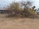 Overgrown area of the backyard at 2613 E Lynne Ln, Phoenix, AZ 85042