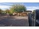 Landscaped backyard with gravel and a black metal fence at 26293 W Sierra Pinta Dr, Buckeye, AZ 85396