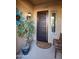 Welcoming front entry with decorative door and potted plant at 26293 W Sierra Pinta Dr, Buckeye, AZ 85396