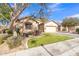 Tan house with a large tree in the front yard and a driveway at 3020 E Lark Dr, Chandler, AZ 85286