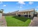 Backyard featuring a well-maintained green lawn, gravel landscaping, and a covered patio at 480 E Bart Dr, Chandler, AZ 85225