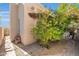 A charming view of the home's exterior including a small side yard with desert landscaping at 11129 N 109Th St, Scottsdale, AZ 85259