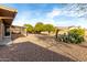 Large backyard with gravel landscaping and mature trees at 16033 N 110Th Ave, Sun City, AZ 85351