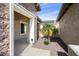 Small courtyard with a palm tree and gravel at 20642 N 268Th Dr, Buckeye, AZ 85396