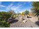 Xeriscaped yard with cacti, succulents, and gravel at 20642 N 268Th Dr, Buckeye, AZ 85396