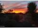 Stunning desert sunset view from the backyard at 20642 N 268Th Dr, Buckeye, AZ 85396