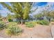 Well-maintained community tennis courts surrounded by lush landscaping and a chain-link fence for privacy at 2637 S Sandstone St, Gilbert, AZ 85295