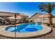 Sparkling pool and spa with poolside lounging, surrounded by mature palm trees and landscaping at 3036 E Boston St, Gilbert, AZ 85295