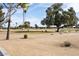 Landscaped backyard, featuring a bench and green space at 10377 W White Mountain Rd, Sun City, AZ 85351