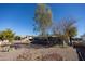 Expansive backyard featuring mature trees, desert landscaping, and a well-maintained patio area at 10906 W Boswell Blvd, Sun City, AZ 85373