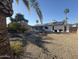 Scenic backyard with palm trees and rock landscaping at 12415 W Rock Springs Dr, Sun City West, AZ 85375