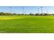 Large, grassy sports field with lights at 2303 N General Dr, Florence, AZ 85132