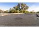 Spacious backyard perfect for outdoor activities at 26622 S Beech Creek Dr, Sun Lakes, AZ 85248