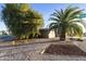 Landscaped yard with palm trees and gravel at 26622 S Beech Creek Dr, Sun Lakes, AZ 85248