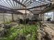 Lush garden area under a pergola structure at 49723 W Esch Trl, Maricopa, AZ 85139