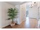 Bright and airy entryway with wood-look tile flooring and a large plant at 1326 E Clearwater Ln, Gilbert, AZ 85234