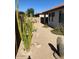 Landscaped backyard with desert plants and a cactus at 16008 N 109Th Dr, Sun City, AZ 85351