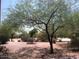 Lush community park with desert landscaping and mature trees, offering a serene setting for relaxation and recreation at 4415 E Weaver Rd, Phoenix, AZ 85050