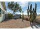 Backyard features a unique desert landscape mural and cacti at 8957 E Rainier Dr, Gold Canyon, AZ 85118