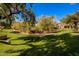 Expansive lawn with mature trees and a bench, offering a tranquil outdoor space at 10445 N 11Th Pl # 1, Phoenix, AZ 85020