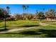 Landscaped lawn with a walkway, palm trees, and mountain views at 10445 N 11Th Pl # 1, Phoenix, AZ 85020