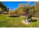 Green park bench overlooking a grassy area with trees and shrubs at 10445 N 11Th Pl # 1, Phoenix, AZ 85020