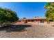 Spacious backyard with gravel and fruit trees at 11029 W Meade Dr, Sun City, AZ 85351