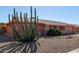 Single story home with peach stucco exterior, two-car garage, and a large cacti at 11029 W Meade Dr, Sun City, AZ 85351