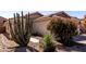 Landscaped front yard with desert plants and pathway at 1151 E Stardust Way, San Tan Valley, AZ 85143