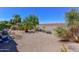 Large backyard with gravel, desert plants, and a covered patio at 20876 N Canyon Whisper Dr, Surprise, AZ 85387