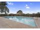 Community pool with clear blue water, surrounded by lush trees and well-maintained landscaping at 2442 N 22Nd Ave, Phoenix, AZ 85009