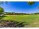 Expansive green space for outdoor recreation with tree-lined borders against a clear blue sky at 25948 W Sands Dr, Buckeye, AZ 85396