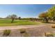 Scenic golf course view featuring lush green fairways and a serene pond, perfect for a relaxing game at 25948 W Sands Dr, Buckeye, AZ 85396