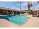 Sparkling community pool surrounded by lounge chairs and palm trees, perfect for hot days at 4354 N 82Nd St # 137, Scottsdale, AZ 85251