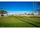 Green golf course with palm trees and distant mountains at 5807 E Leonora St, Mesa, AZ 85215