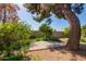 Backyard with patio, trees and a small garden at 8501 W Glenrosa Ave, Phoenix, AZ 85037