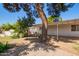 Backyard with covered patio and large tree at 8501 W Glenrosa Ave, Phoenix, AZ 85037