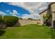 Expansive backyard with a healthy lawn, mature shrubbery, and a sturdy block wall offering privacy and a beautiful green space at 19520 N 65Th Ave, Glendale, AZ 85308