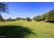 Community greenbelt with lush grass and trees at 19520 N 65Th Ave, Glendale, AZ 85308