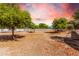 Spacious pasture with trees and a covered shelter at 21510 E Mewes Rd, Queen Creek, AZ 85142