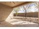 Covered patio with view of backyard and trees at 5575 W Cinder Brook Way, Florence, AZ 85132