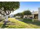 Landscaped backyard with mature citrus trees at 663 S Saguaro Way, Mesa, AZ 85208