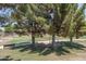 Park with a walking path, grassy areas, and mature trees at 18242 W Colter St, Litchfield Park, AZ 85340