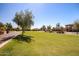 Expansive community lawn with manicured grass, mature trees, and sidewalks in a residential neighborhood at 20620 W Walton Dr, Buckeye, AZ 85396