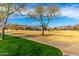 Park view showcasing playground equipment and picnic area at 20620 W Walton Dr, Buckeye, AZ 85396