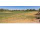 Scenic view of a green golf course with a yellow flag set against a clear blue sky at 20620 W Walton Dr, Buckeye, AZ 85396