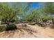 Community park featuring trees, picnic tables, benches and lush greenery for neighborhood gatherings at 20620 W Walton Dr, Buckeye, AZ 85396